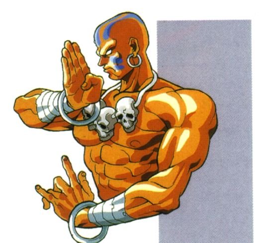 Otaku Gallery  / Anime e Manga / Street Fighters / Personaggi / Dhalsim / dhalsim (4).jpg